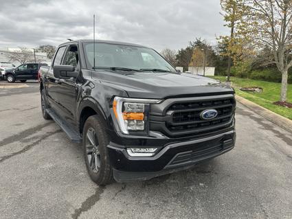 2023 Ford F-150 Murfreesboro TN