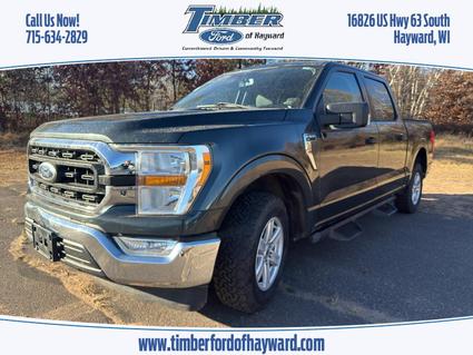 2021 Ford F-150 Hayward WI