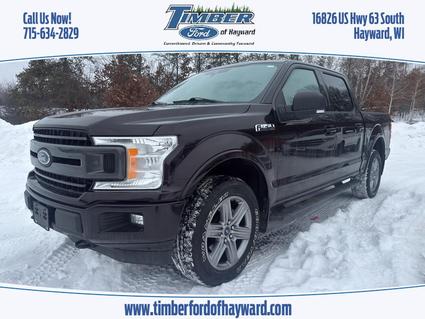 2019 Ford F-150 Hayward WI