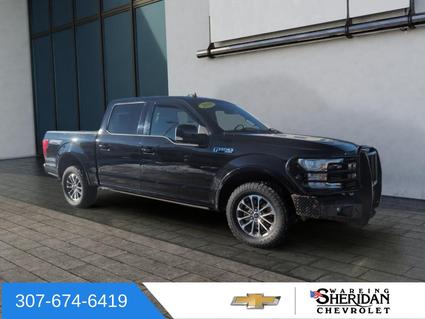 2019 Ford F-150 Sheridan WY