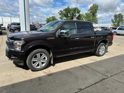2019 Ford F-150 Wolf Point MT