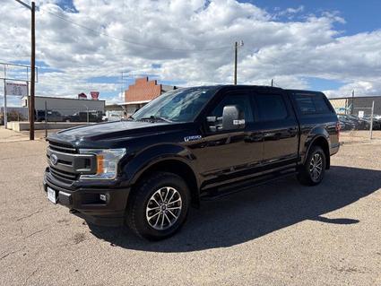2020 Ford F-150 Greeley CO