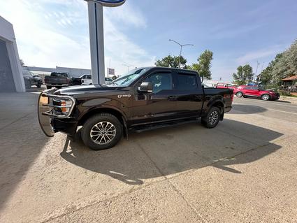 2019 Ford F-150 Wolf Point MT