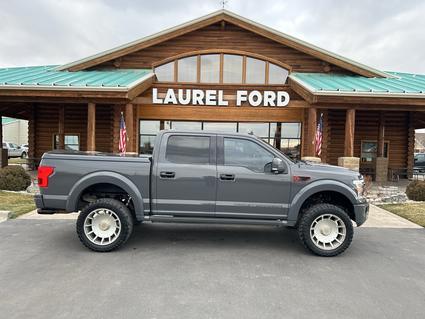 2019 Ford F-150 Laurel MT