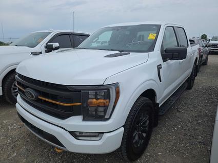 2022 Ford F-150 Laurel  MT