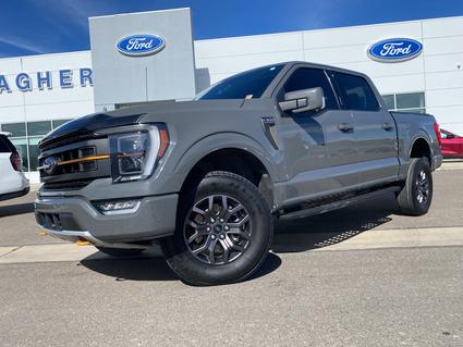 2021 Ford F-150 Elko NV