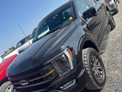 2023 Ford F-150 Post Falls ID