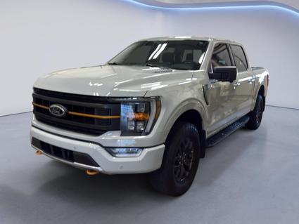 2023 Ford F-150 Dickinson ND