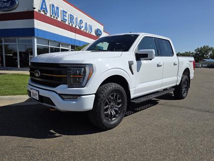 2021 Ford F-150 Glendive MT