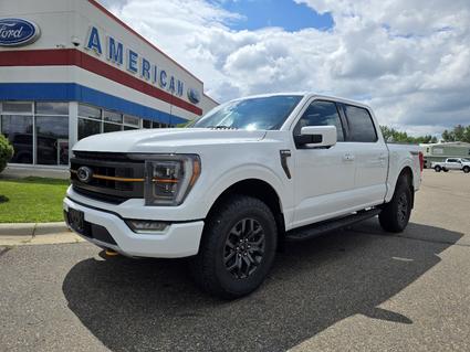 2021 Ford F-150 Glendive MT