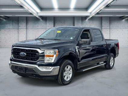 2022 Ford F-150 Patchogue NY