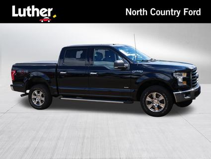 2016 Ford F-150 Minneapolis MN