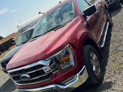 2022 Ford F-150 Post Falls ID