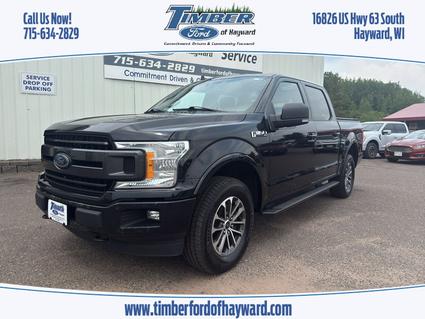 2019 Ford F-150 Hayward WI