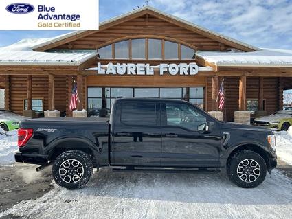 2023 Ford F-150 Laurel MT