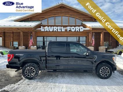 2023 Ford F-150 Laurel MT