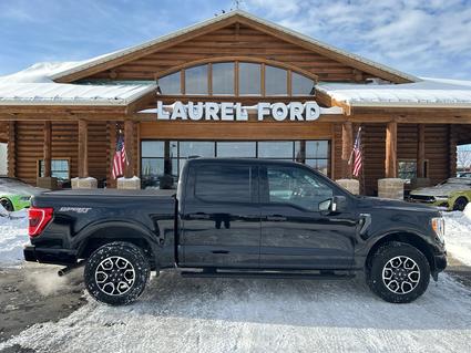 2023 Ford F-150 Laurel MT
