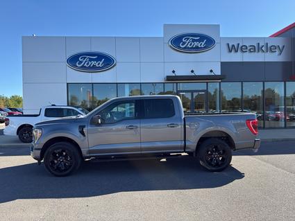 2023 Ford F-150 Martin TN