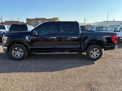 2023 Ford F-150 Cut Bank MT