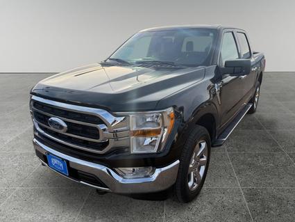 2023 Ford F-150 Levelland TX