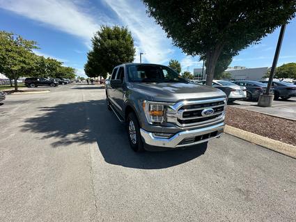 2023 Ford F-150 Murfreesboro TN