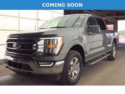 2023 Ford F-150 Murfreesboro TN