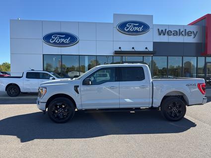 2023 Ford F-150 Martin TN