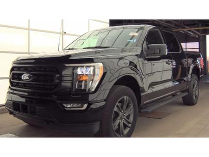 2023 Ford F-150 Murfreesboro TN