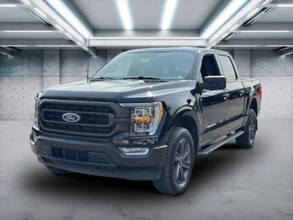 2023 Ford F-150 Patchogue NY