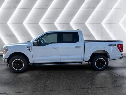 2023 Ford F-150 Tuscumbia AL