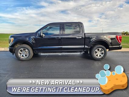 2021 Ford F-150 Watseka IL