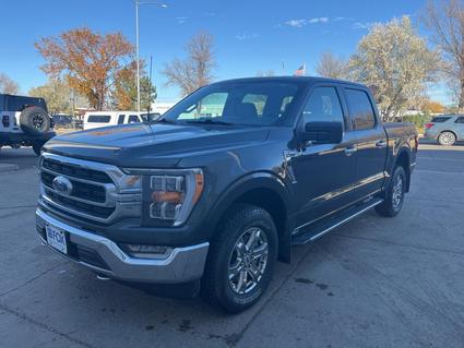2021 Ford F-150 Wolf Point MT