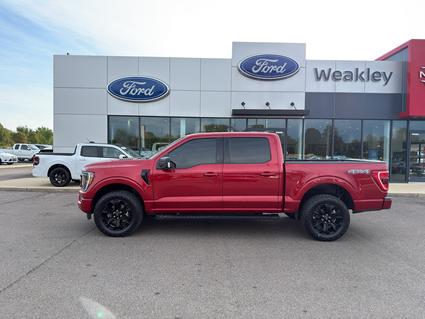 2022 Ford F-150 Martin TN