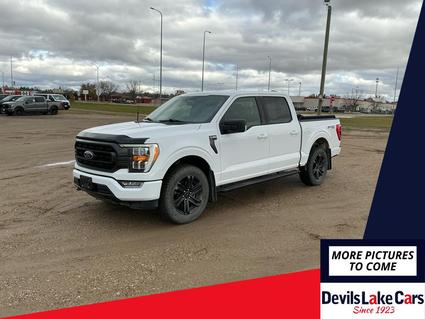 2021 Ford F-150 Devils Lake ND