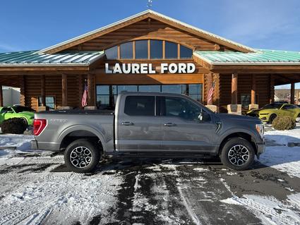 2023 Ford F-150 Laurel MT