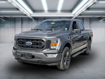 2022 Ford F-150 Patchogue NY