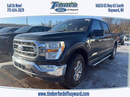 2023 Ford F-150 Hayward WI