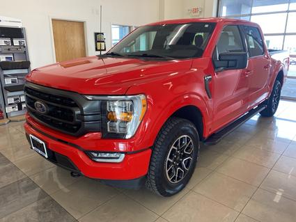 2023 Ford F-150 Sparta IL