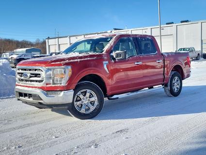 2023 Ford F-150 Battle Creek MI