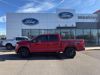 2022 Ford F-150 Martin TN