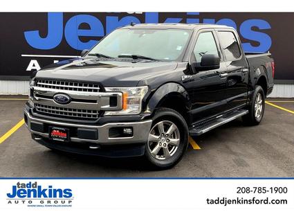 2019 Ford F-150 Blackfoot ID