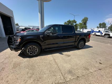 2023 Ford F-150 Wolf Point MT