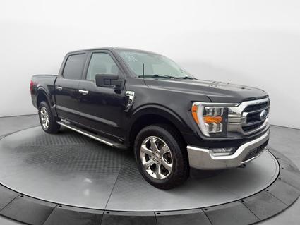 2023 Ford F-150 Sheffield AL