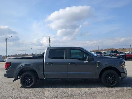 2025 Ford F-150 Winder GA