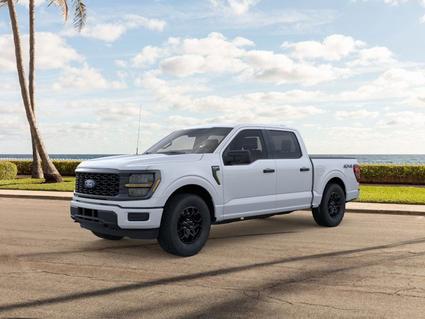 2025 Ford F-150 Plainview TX