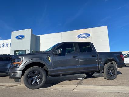 2025 Ford F-150 Elko NV