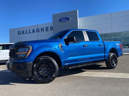 2024 Ford F-150 Elko NV