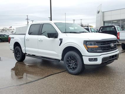 2025 Ford F-150 Paw Paw MI
