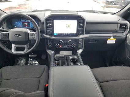 2025 Ford F-150 Paw Paw MI