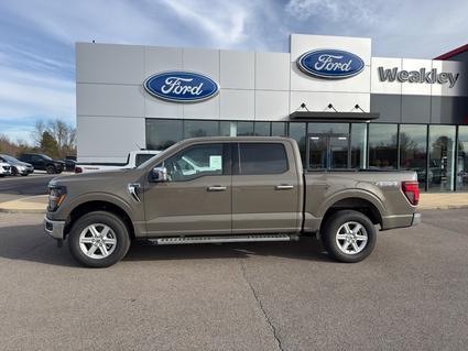 2025 Ford F-150 Martin TN